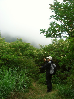 大船山50