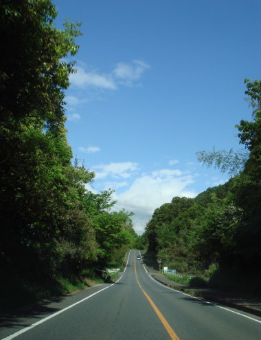 朝倉市10