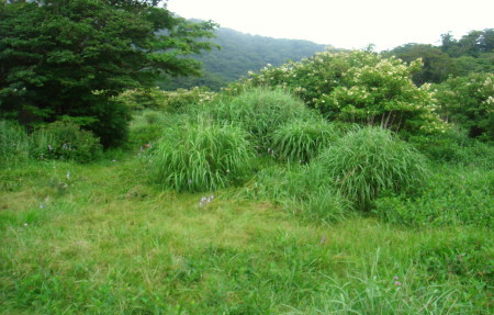 大船山51