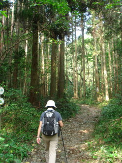 福智山15