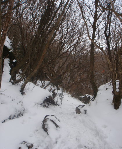 �����夦62