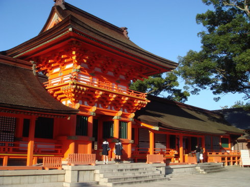 ��������43