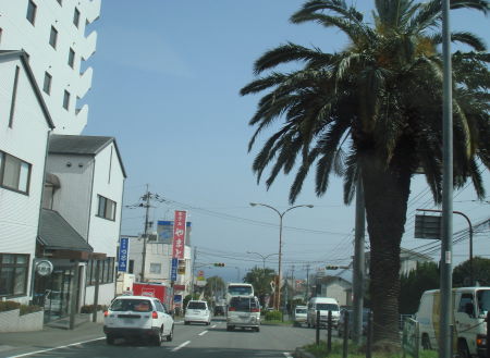 東洋軒@別府市10