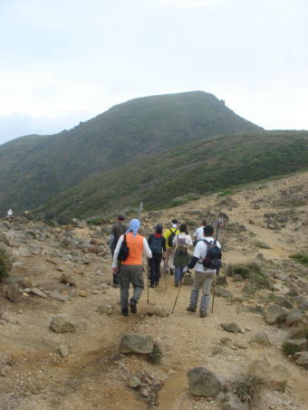 �����夦65