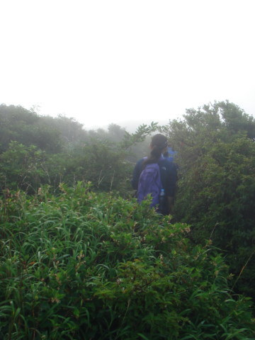 ������30