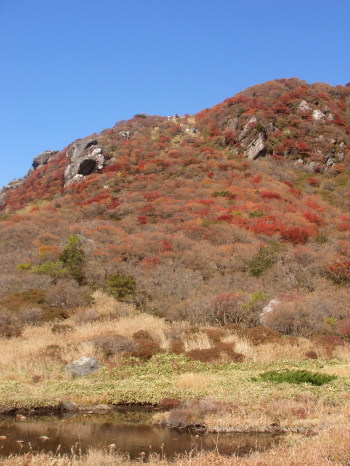 紅葉くじゅう30