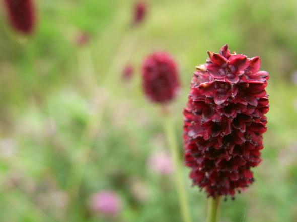 �����夦92