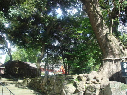 ���������11