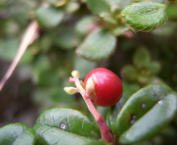 �����夦59