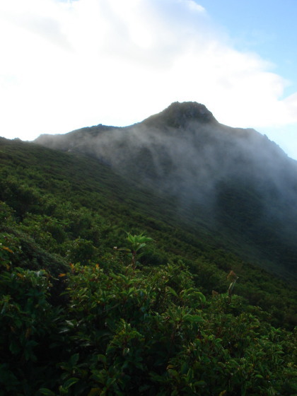 ������24