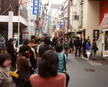 ����Ʋ����