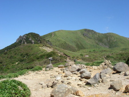 �����夦16