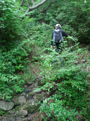 大船山17a