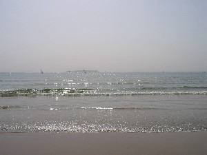 2004 04 23 tsuyazaki