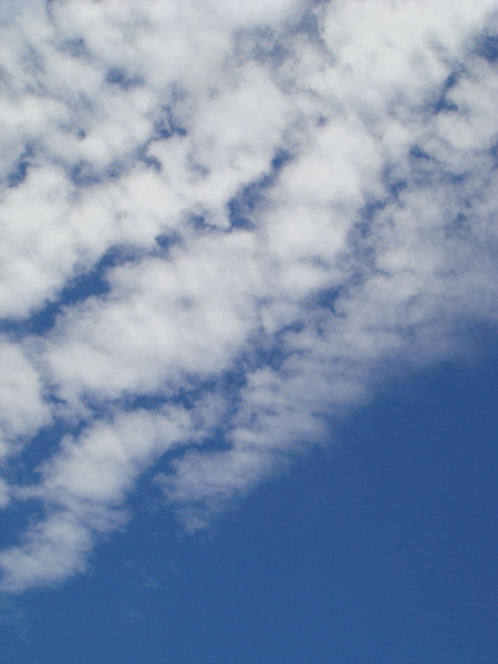 秋空12