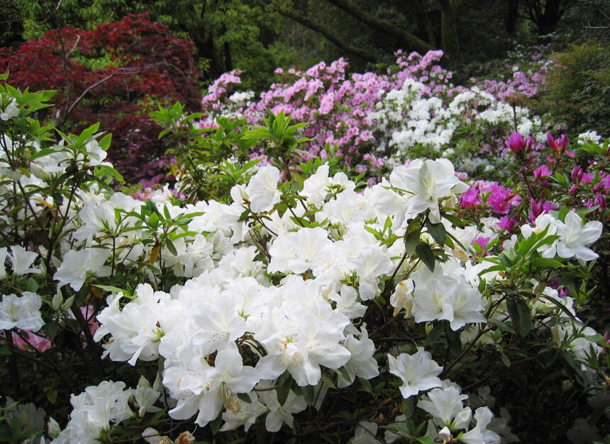 2004_04_17_tsuru21
