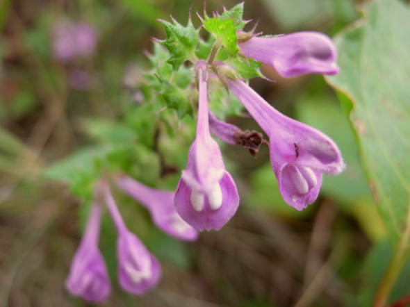 �����夦93