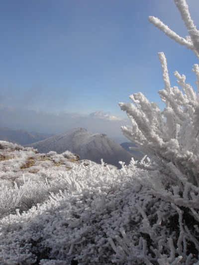 �����夦2-28