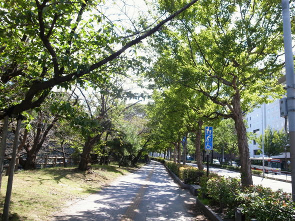 和歌山市50