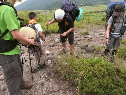 �����夦58