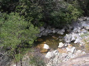 2004 03 27 keikoku