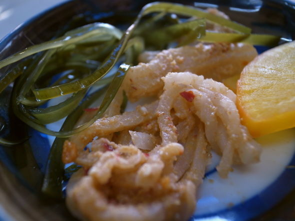 ��������������16