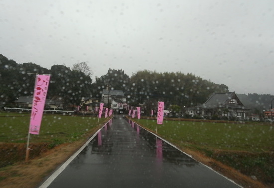 ������������¼11