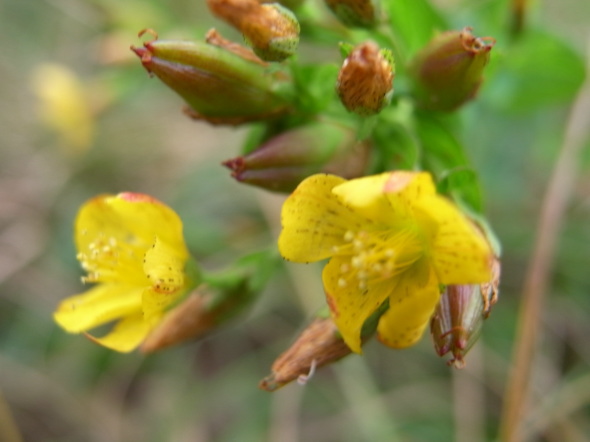 �����夦94