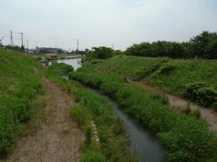佐賀53