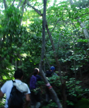 ������11