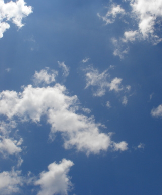 青空10