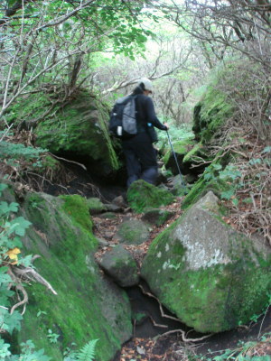大船山57