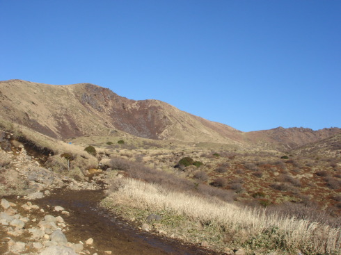 �����夦89