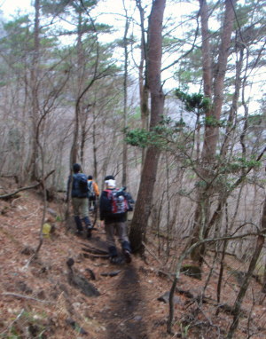 由布岳57