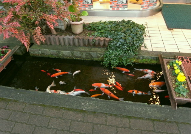 �衹�������ӻ�30