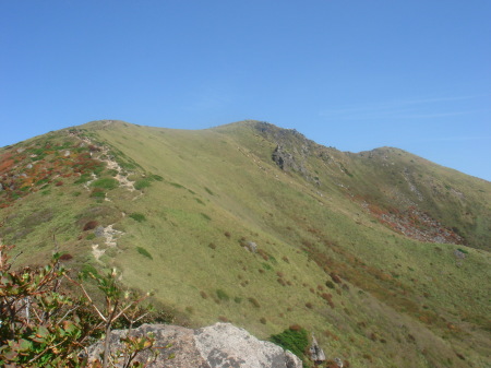 �����夦20