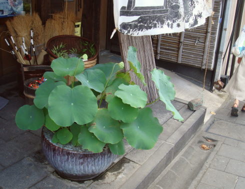 ������70