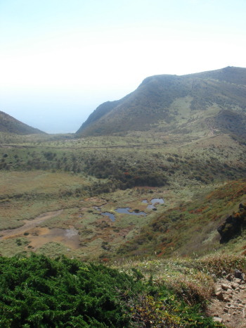 �����夦25