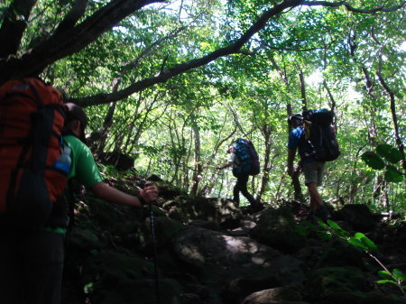 �����夦13