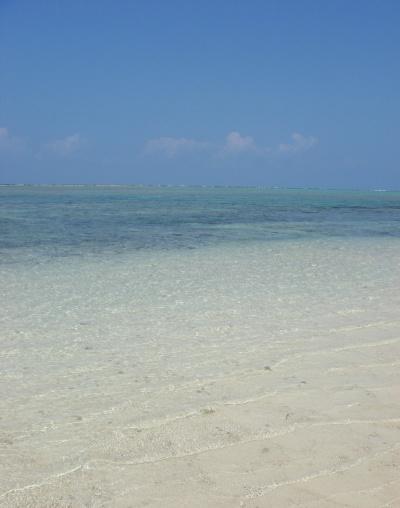 ������ɥӡ���13