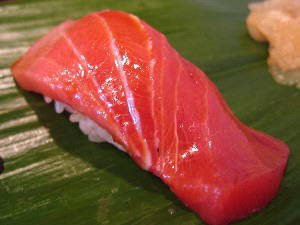 2004 04 23 toro9