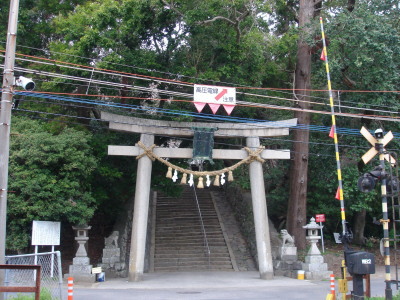 ޽10