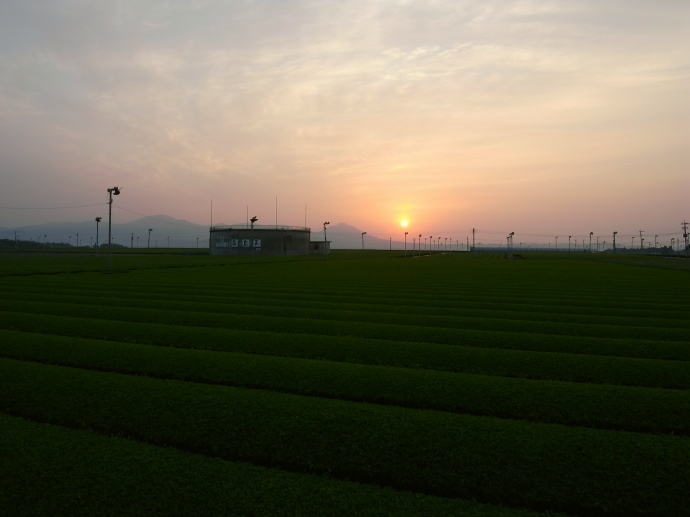 溝辺20