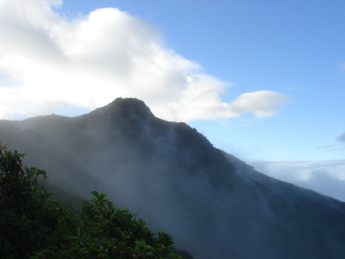 ������21