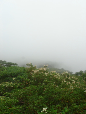 大船山56