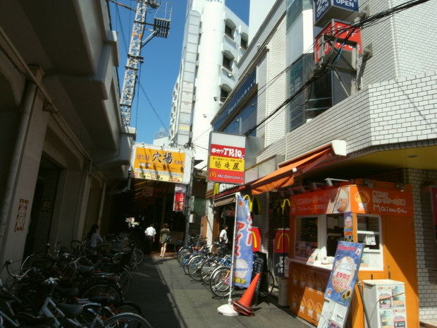 ŷ�����ھ�Ź��21