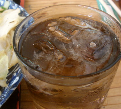 ��ǵ�������Į13