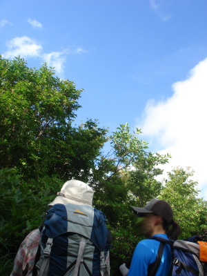 �����夦17a