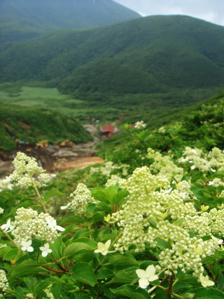 �����夦82