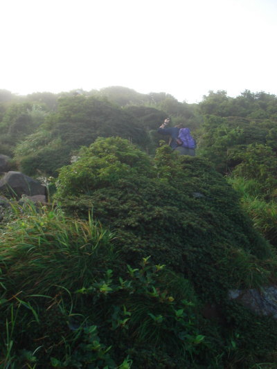 ������33